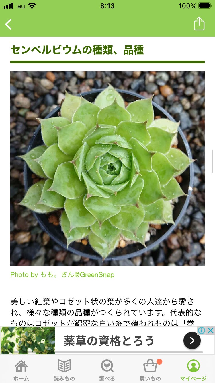 植物 お世話になっているサイトとアプリを紹介します Photokoto